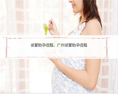 试管助孕流程，广州试管助孕流程