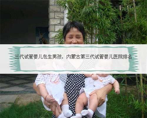 三代试管婴儿包生男孩，内蒙古第三代试管婴儿医院排名