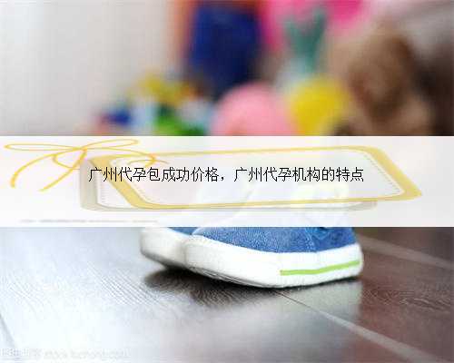 广州代孕包成功价格，广州代孕机构的特点