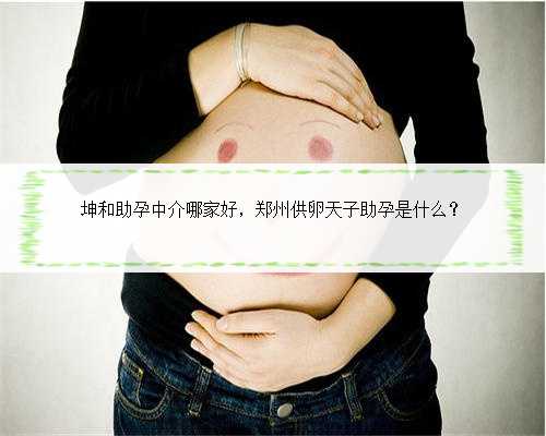 坤和助孕中介哪家好，郑州供卵天子助孕是什么？