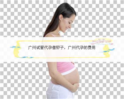 广州试管代孕借卵子，广州代孕的费用