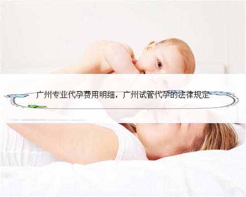广州专业代孕费用明细，广州试管代孕的法律规定