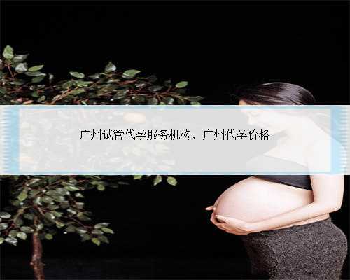 广州试管代孕服务机构，广州代孕价格