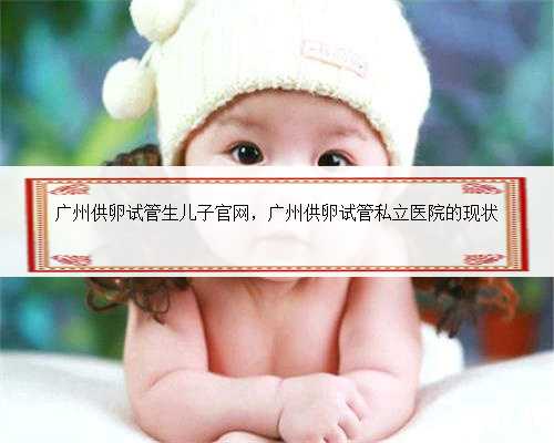 广州供卵试管生儿子官网，广州供卵试管私立医院的现状