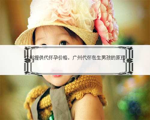 广州提供代怀孕价格，广州代怀包生男孩的原理