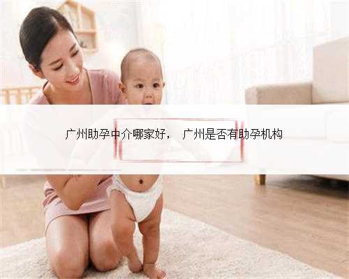 广州助孕中介哪家好， 广州是否有助孕机构