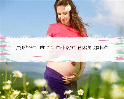 广州代孕生下的宝宝，广州代孕中介机构的收费标准