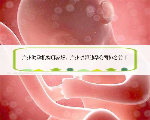 广州助孕机构哪家好，广州供卵助孕公司排名前十