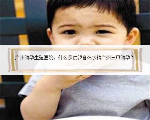 广州助孕生殖医院，什么是供卵自怀求精广州三甲助孕？