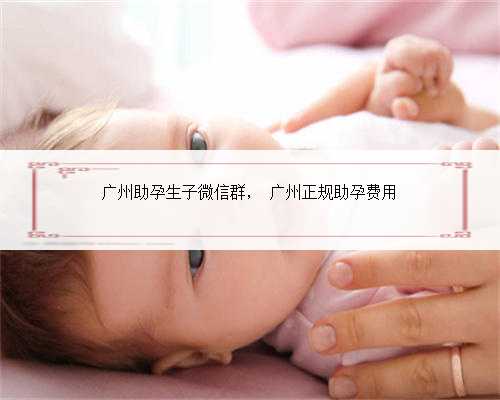 广州助孕生子微信群， 广州正规助孕费用