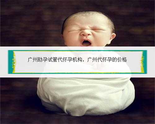 广州助孕试管代怀孕机构，广州代怀孕的价格
