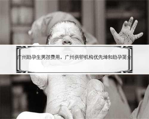 广州助孕生男孩费用，广州供卵机构优先坤和助孕简介
