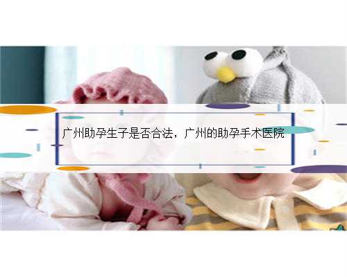 广州助孕生子是否合法，广州的助孕手术医院