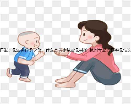 代怀生子包生男孩多少钱，什么是供卵试管包男孩-杭州专业代怀孕包性别？