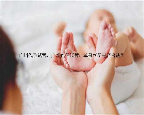 广州代孕试管，广州代孕试管：单身代孕是否合法？