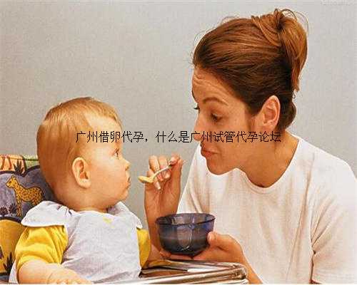 广州借卵代孕，什么是广州试管代孕论坛
