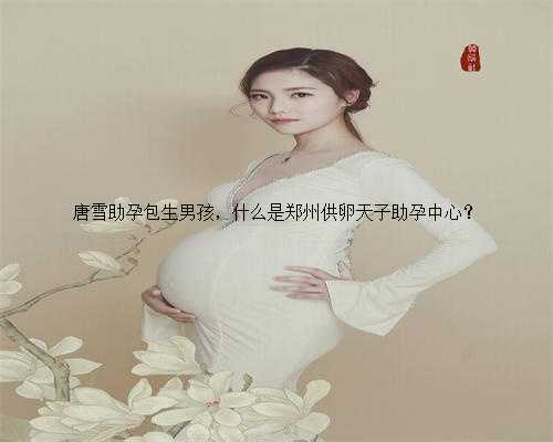唐雪助孕包生男孩，什么是郑州供卵天子助孕中心？