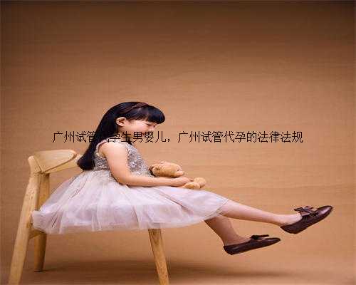 广州试管代孕生男婴儿，广州试管代孕的法律法规