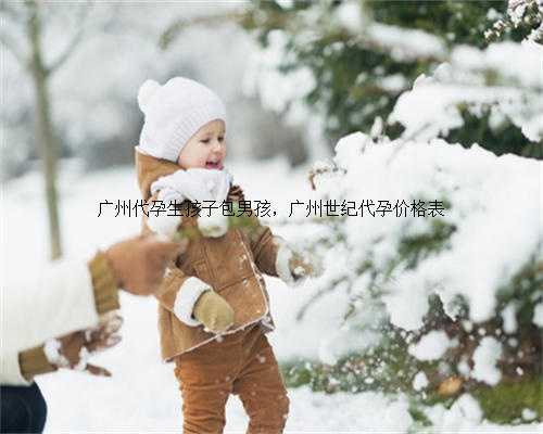 广州代孕生孩子包男孩，广州世纪代孕价格表