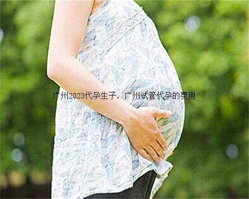 广州2023代孕生子，广州试管代孕的费用