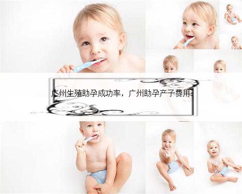 广州生殖助孕成功率，广州助孕产子费用