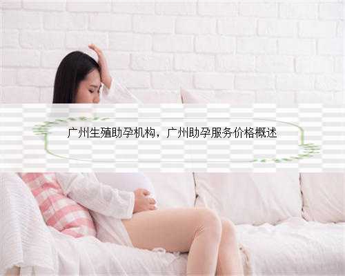 广州生殖助孕机构，广州助孕服务价格概述