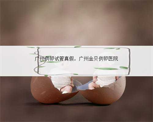 广州供卵试管真假，广州金贝供卵医院