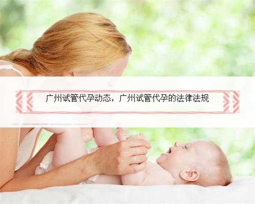 广州试管代孕动态，广州试管代孕的法律法规