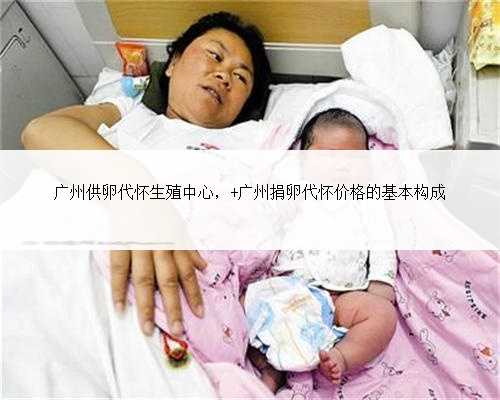 广州供卵代怀生殖中心， 广州捐卵代怀价格的基本构成