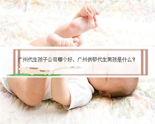 广州代生孩子公司哪个好，广州供卵代生男孩是什么？