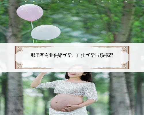 哪里有专业供卵代孕，广州代孕市场概况