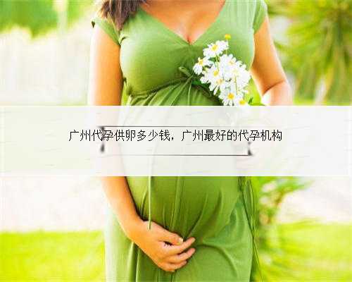 广州代孕供卵多少钱，广州最好的代孕机构