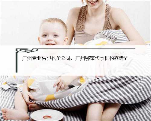 广州专业供卵代孕公司，广州哪家代孕机构靠谱？