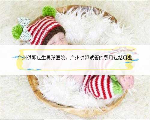 广州供卵包生男孩医院，广州供卵试管的费用包括哪些