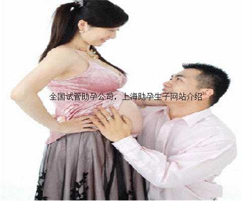 全国试管助孕公司，上海助孕生子网站介绍