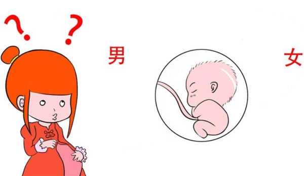香港联系捐卵机构,【广州供卵机构联系方式】进入孕晚期了才知道孕中期是天