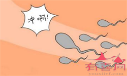 广州做试管生男孩，广州试管婴儿流程来了！