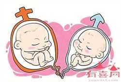 广州试管代生哪有最好，广州最好的十所试管婴儿医院