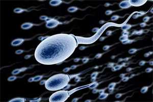 贝乐孕生殖包生男孩，2022太原供卵试管包生男孩医院，附包生男孩条件及费用