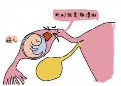 广州正规的代生机构，广州正规的妇科医院在哪里_广州好的不孕医院