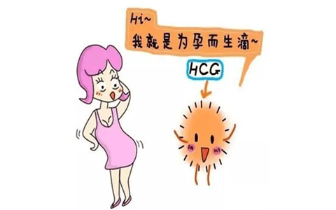广州有谁愿意代孕，广州第三代试管婴儿费用多少？