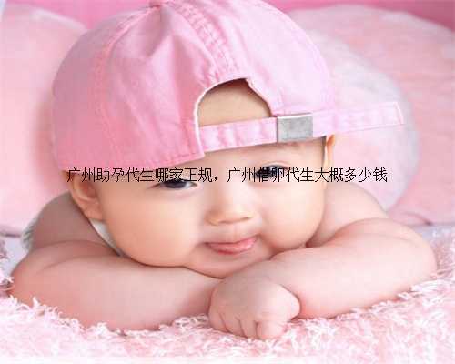 广州助孕代生哪家正规，广州借卵代生大概多少钱
