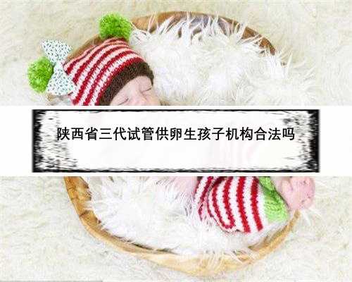 陕西省三代试管供卵生孩子机构合法吗