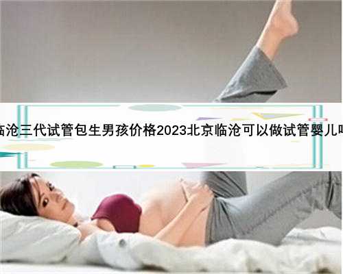 临沧三代试管包生男孩价格2023北京临沧可以做试管婴儿吗